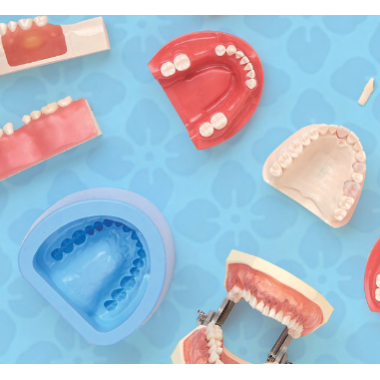 Catalog training models