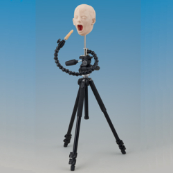 Brne rntgen-mannequin p trefod