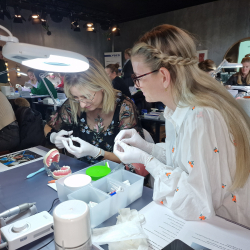 Hands-on provisoriekursus for klinikassistenter