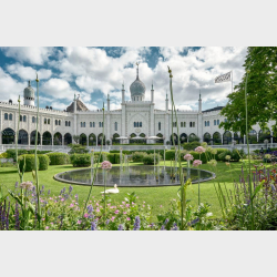 FUNFUNCTION - Fra dysfunktion til funktion med moderne gnatologi