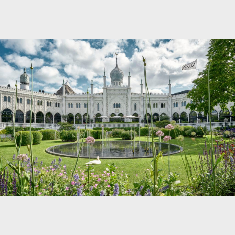 FUNFUNCTION - Fra dysfunktion til funktion med moderne gnatologi