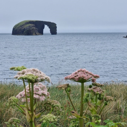 Dental Study Trip to Shetland Islands 2026