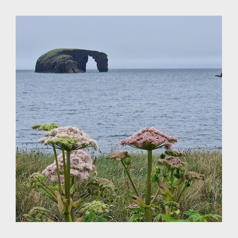 Dental Study Trip to Shetland Islands 2026