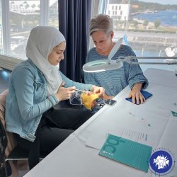 Lokalanalgesi for klinikassistenter og tandplejere