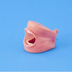 Lbest til simpelt fantomhoved