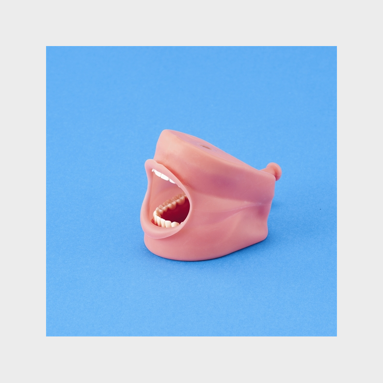 Lbest til simpelt fantomhoved