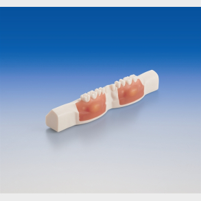 Model til abscesfjernelse, incisions- og sutureringstrning 