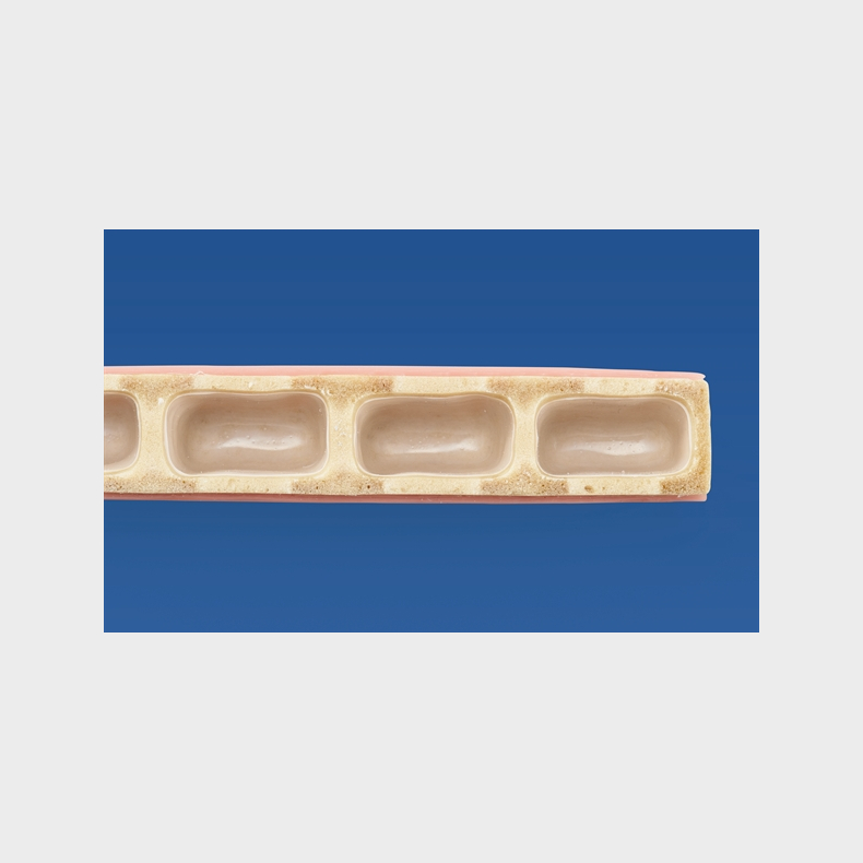 Trningsmodel til sinuslft 