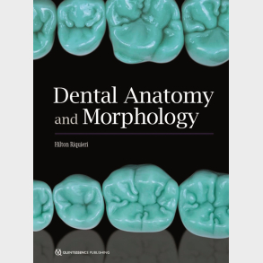 Dental Anatomy and Morphology