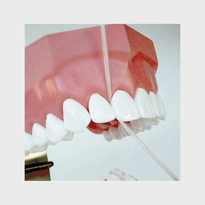 Model til demonstration af tandbrstning inkl. tandtrd og tandbrste 