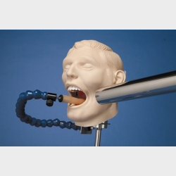 Rntgen-mannequin p trefod