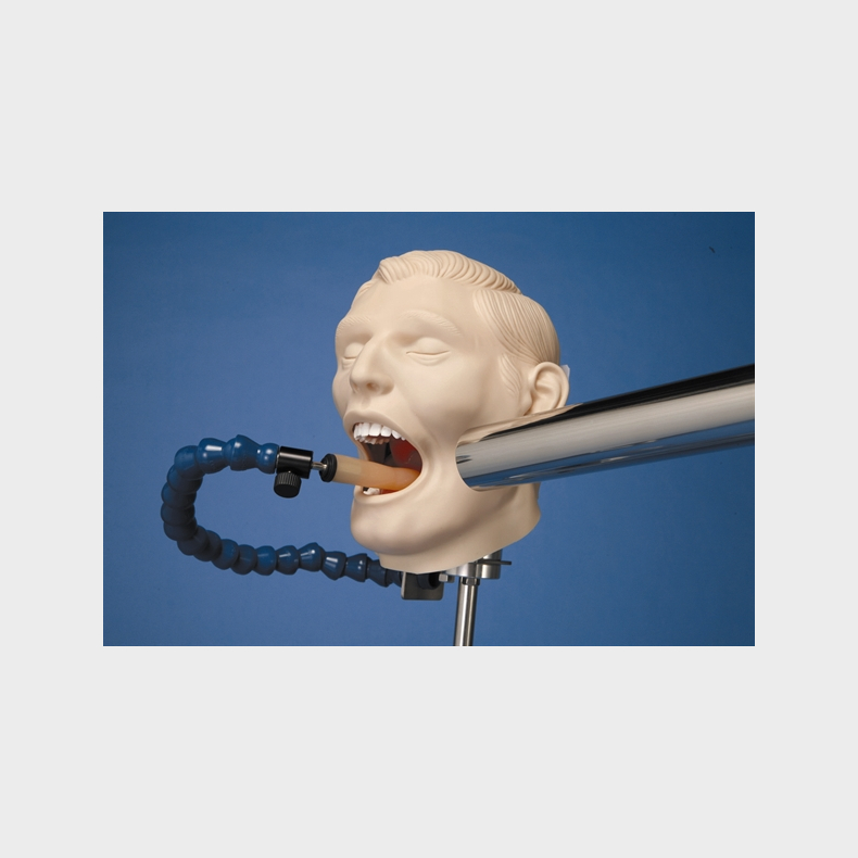 Rntgen-mannequin p trefod