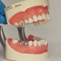 Instruktionsmodel til Tandbrstning 