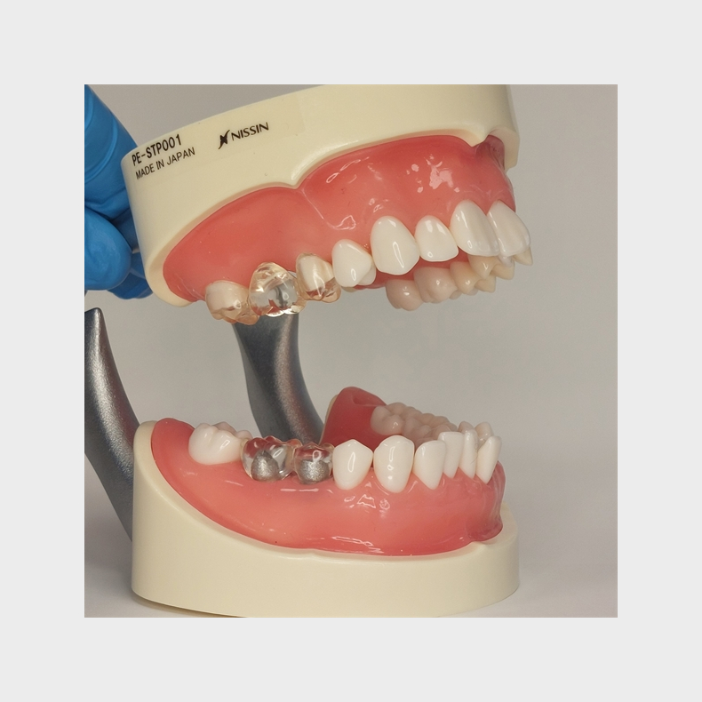 Instruktionsmodel til Tandbrstning 