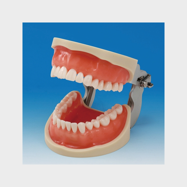 Over- og underkbetrningsmodel 